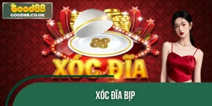 Xóc Đĩa Bịp - Làm Sao Nhận Biết Và Phòng Tránh An Toàn Nhất